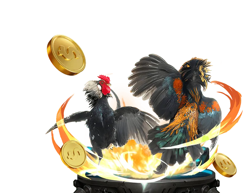 Nền tảng cá cược an toàn và công bằng