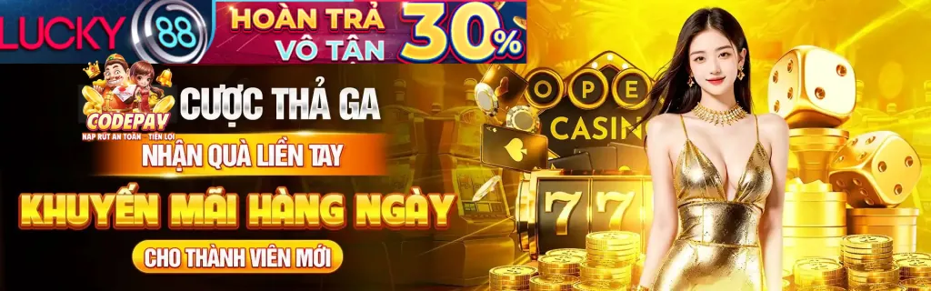 Minh họa các loại cookie khác nhau được df999 sử dụng
